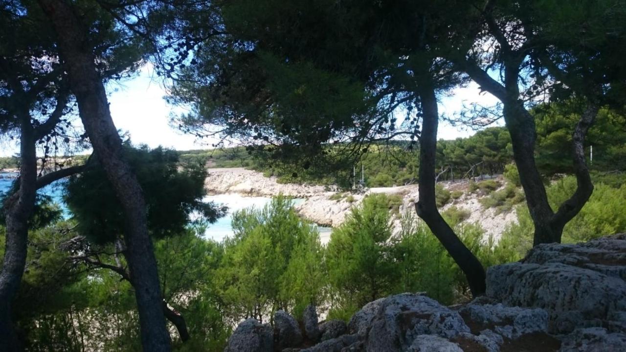 Appartement Vue Mer Le Chant Des Cigales Sausset-les-Pins Exteriör bild